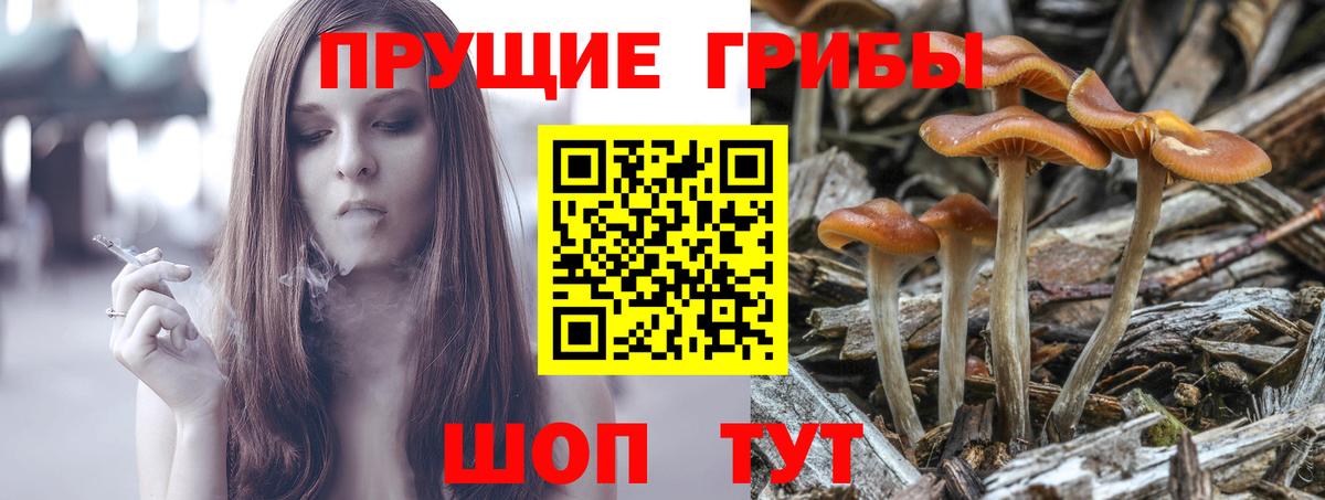 Галлюциногенные грибы Psilocybe  Вход с VPN  Галлюциногенные грибы мицелий  Сыктывкар 